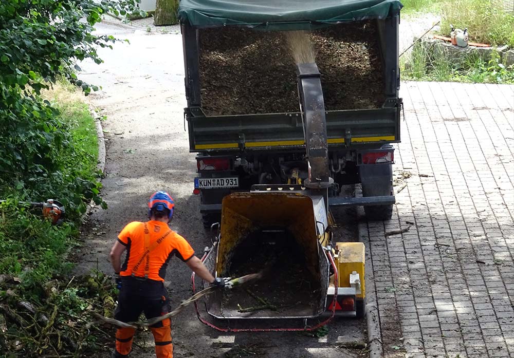 Fachgerechte Entsorgung des Schnittgutes