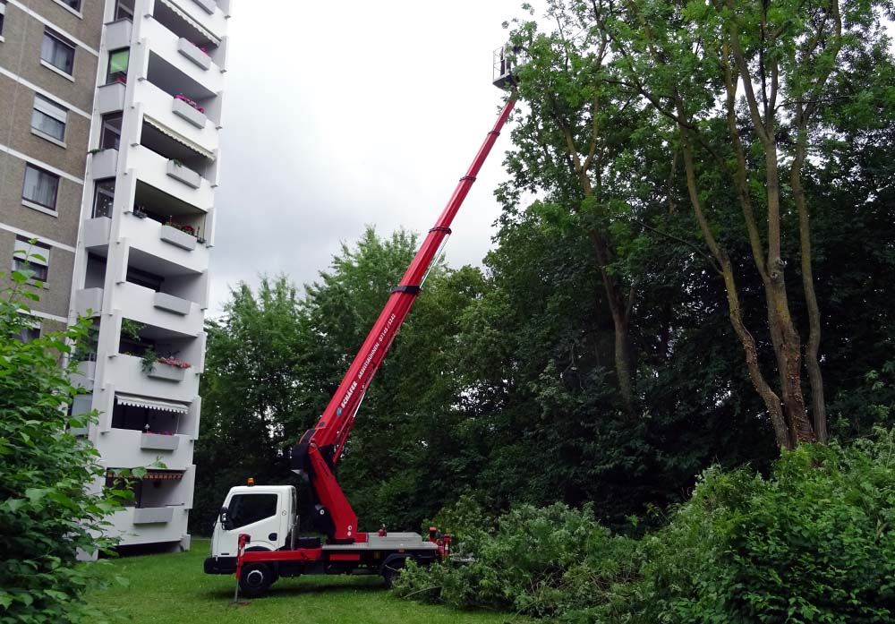 Kroneneinkürzung mit Unterstützung einer Hebebühne