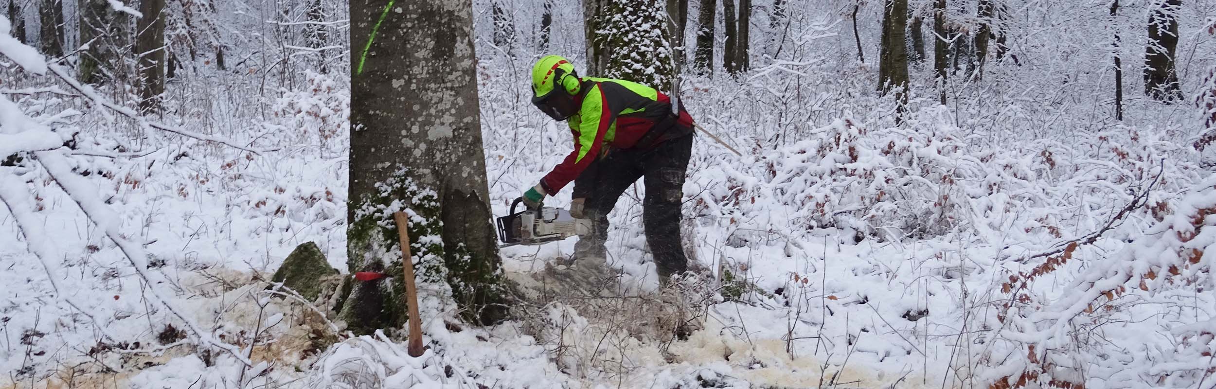 Wir arbeiten mit Leidenschaft im Forst und Wald