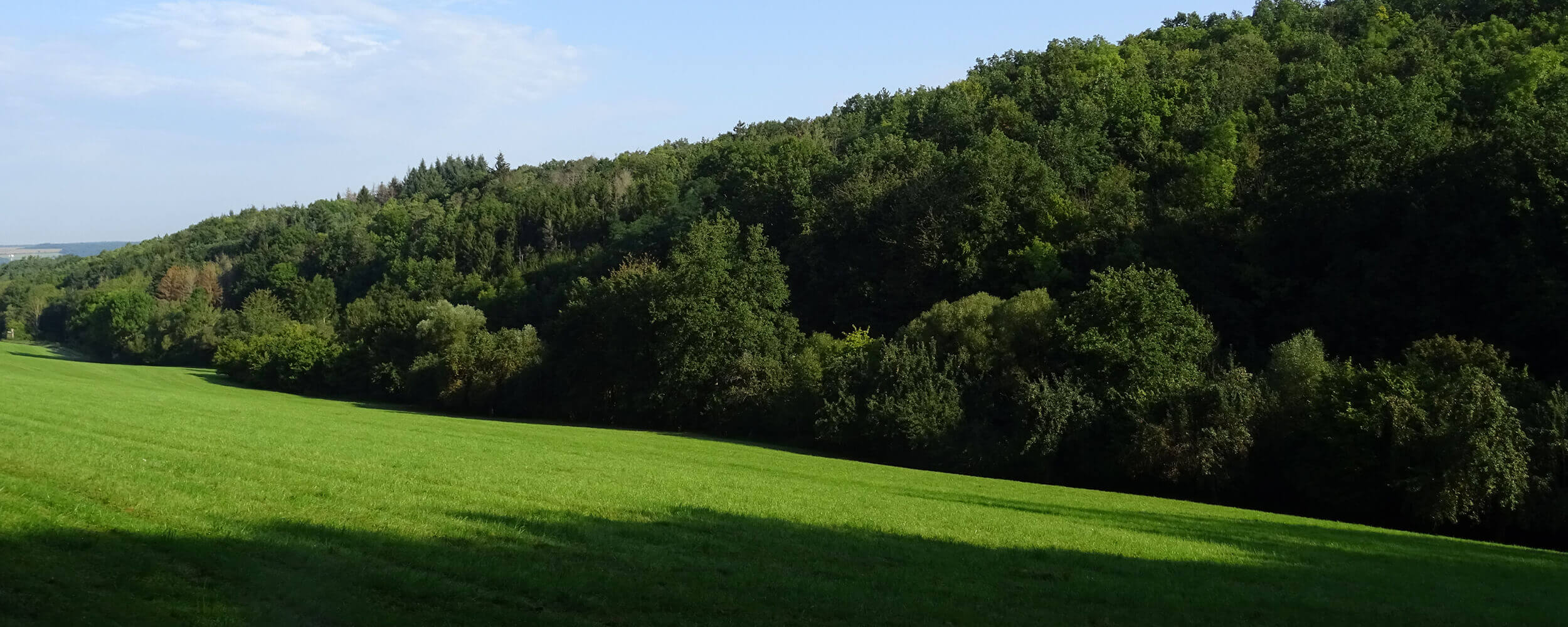 Wir sind ein zertifiziertes Forst und Baumpflege Unternehmen